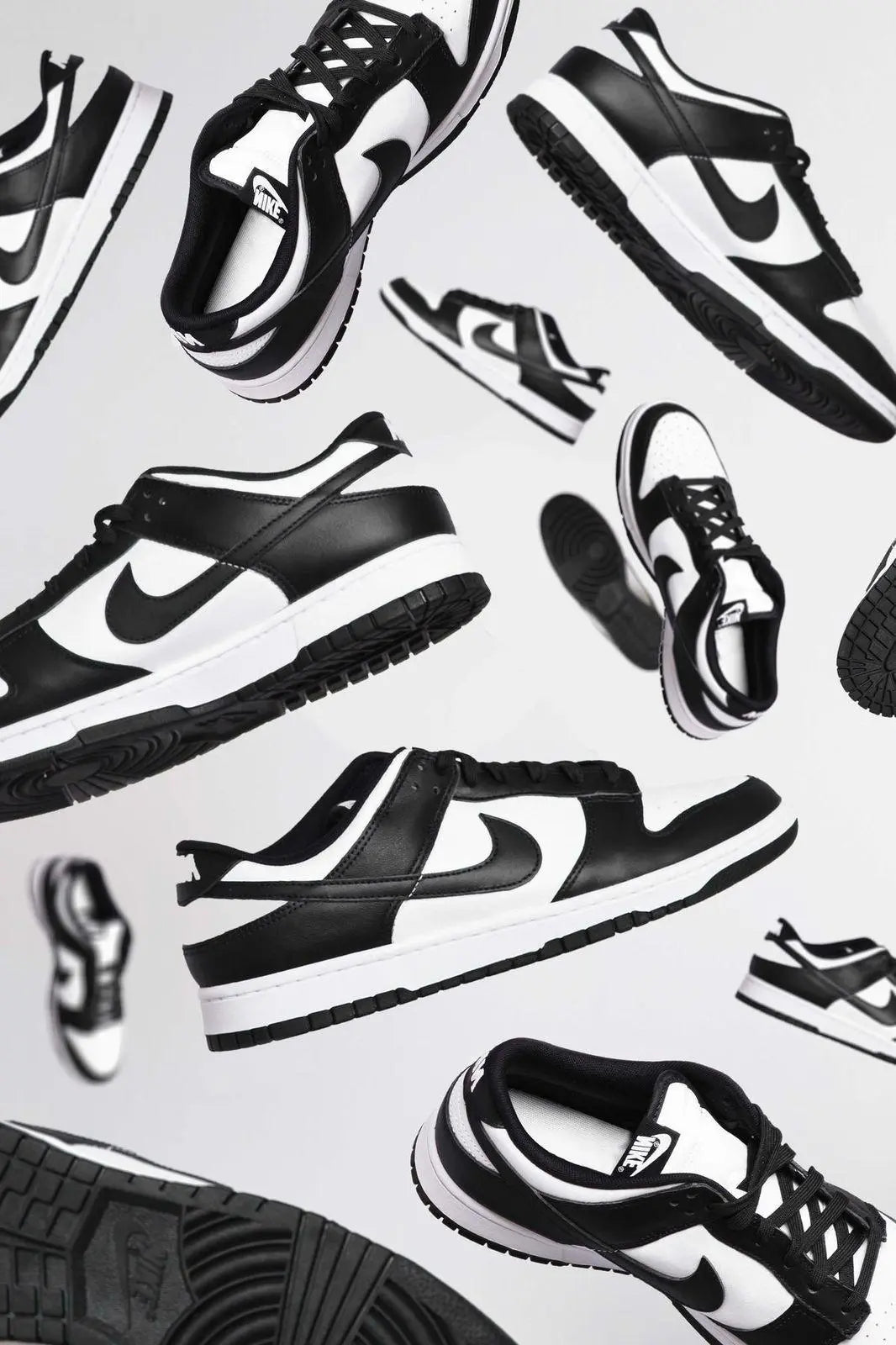 Tênis Unissex NK Dunk Low Pro Premium